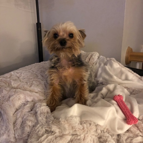 Meet your Posher, Sarah - Picture 1 of 1